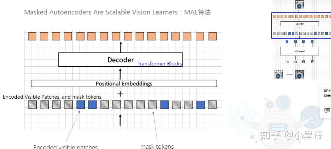 Transformer学习(八)---BeiT和MAE - 知乎