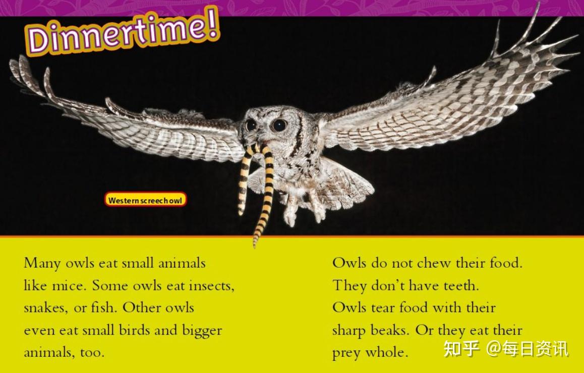 我们以《猫头鹰》课堂上的思维导图练习为例:1,气泡图今天我将和大家