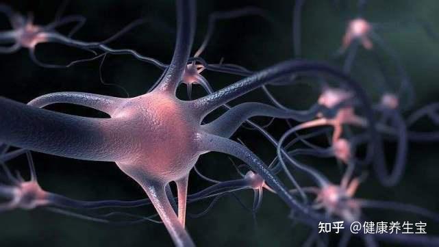 如何看待运动神经元 - 知乎