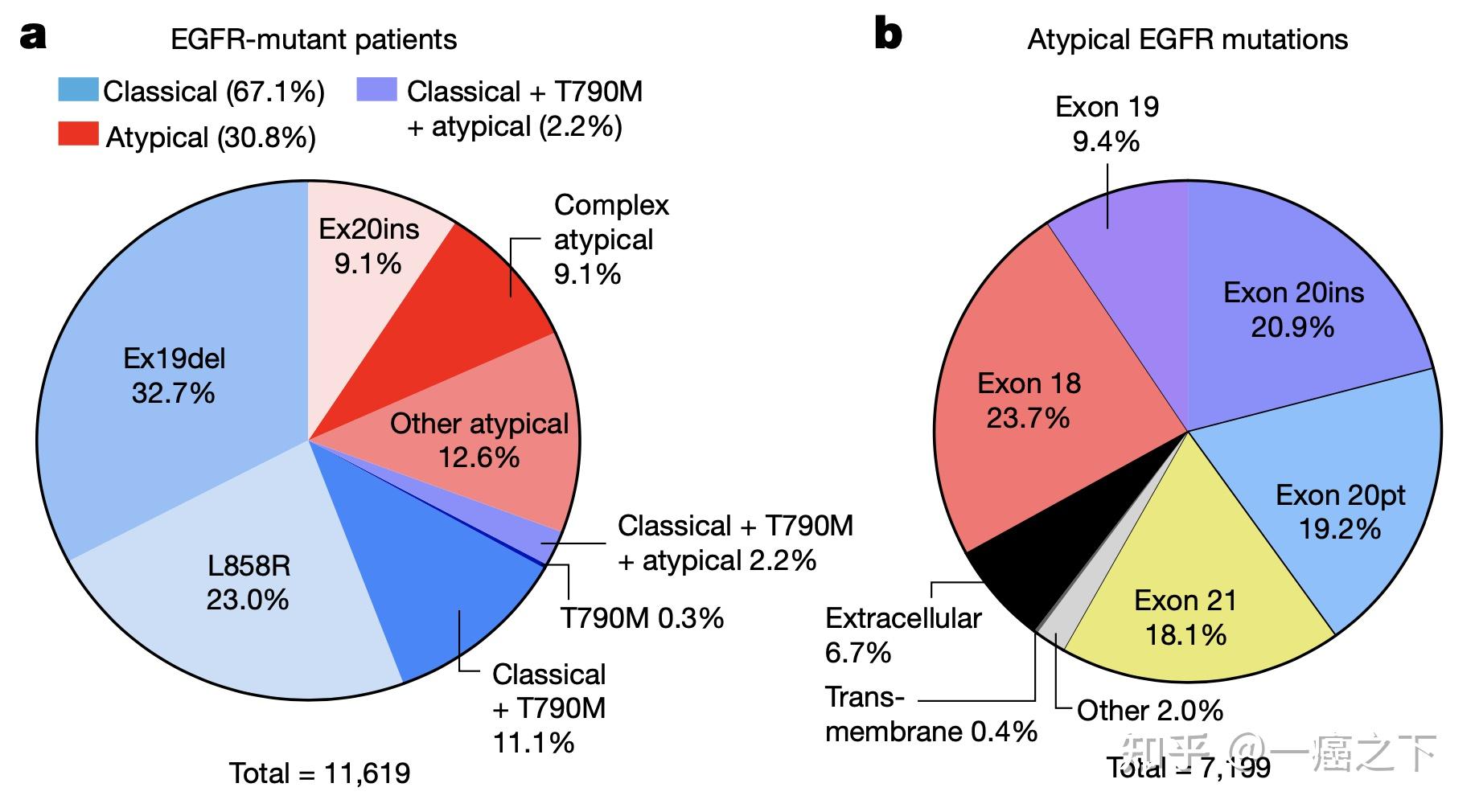 非小细胞肺癌egfr突变新分类