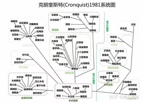 枯燥 量大 知识点杂乱 一文帮你高效学习植物及其生理学 知乎