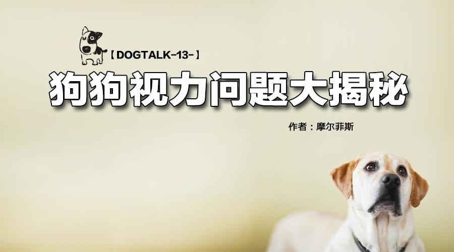 Dogtalk 13 狗狗视力问题大揭秘 知乎