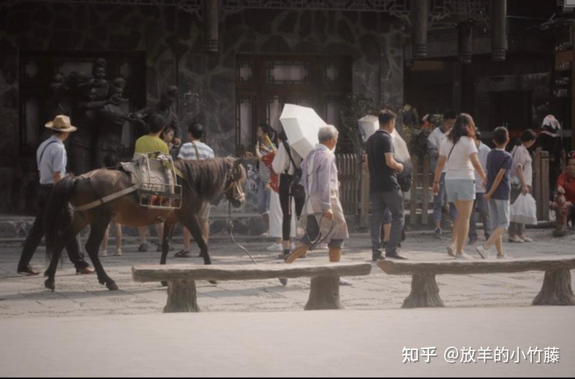 《骆驼祥子》—那个时代底层人的心酸 - 知乎