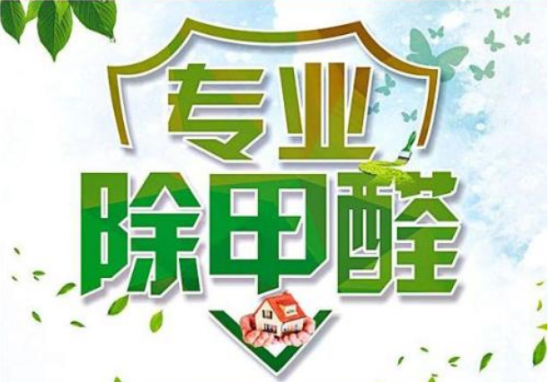 除甲醛你做了多少無用功其實只有這些有效果