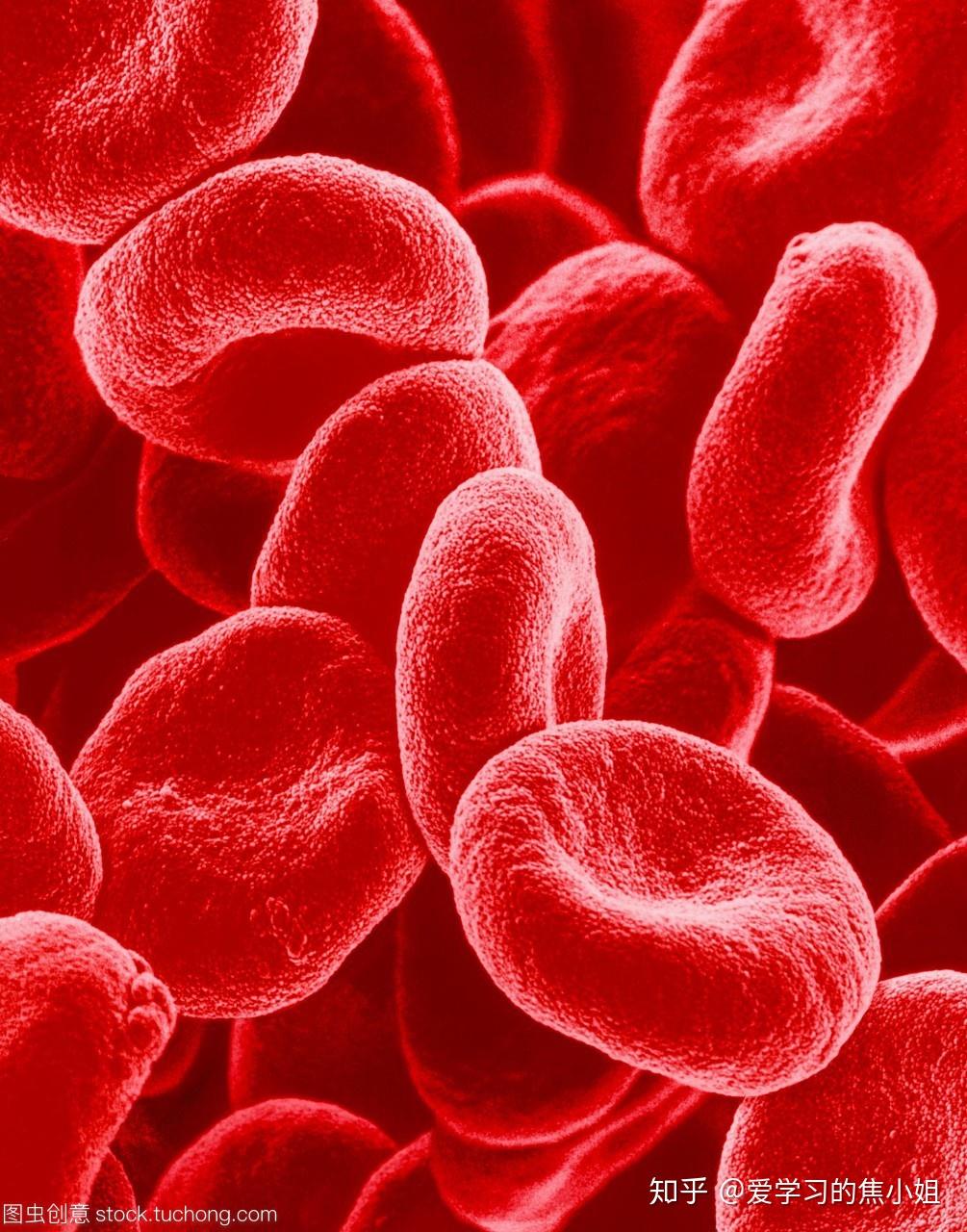 快递员红细胞专访讲述平凡工作