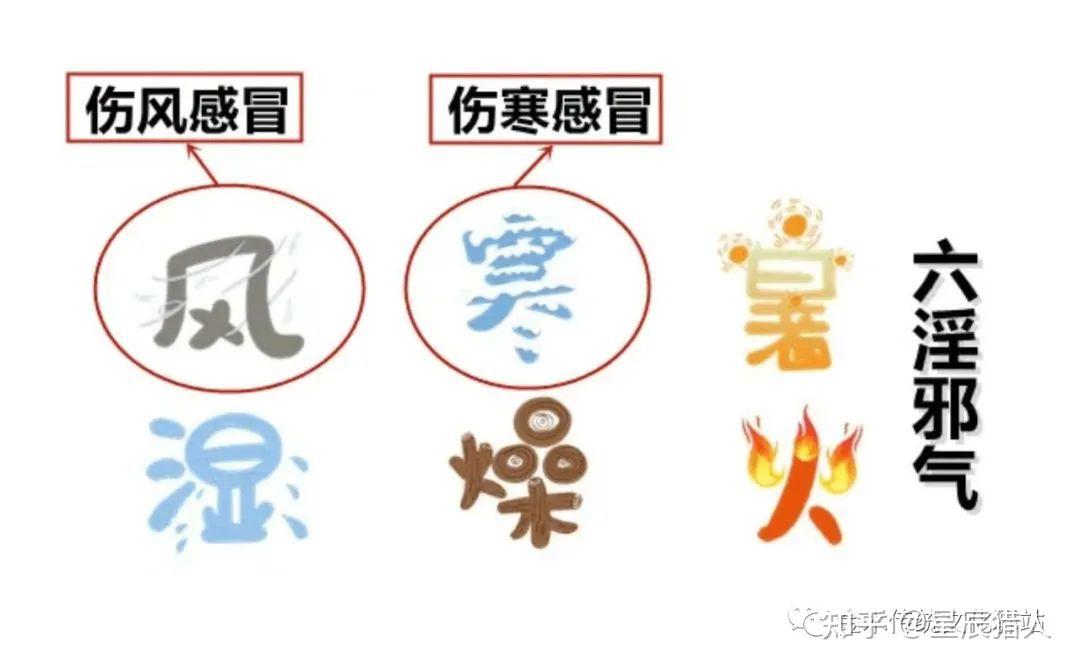 【经络中医文化15】【中医知识】六淫、七情、风邪、火邪、寒邪、燥邪、风邪 - 知乎