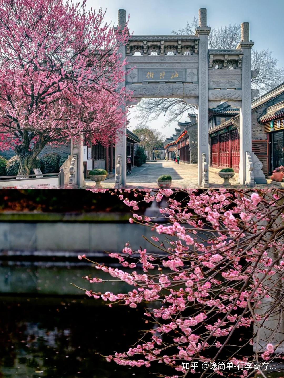 保存了许多古色古香的建筑, 2月来可以看到盛放的梅花,朱生豪故居
