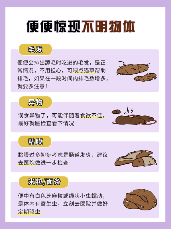 猫咪便便的8种形态丨自查猫咪健康状况 - 知乎