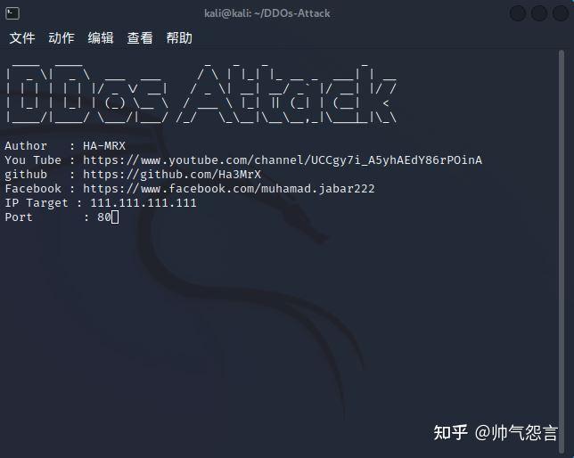  kali ddos 