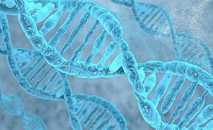 舞茸MD-Fraction--揭开遗传性结直肠癌的神秘