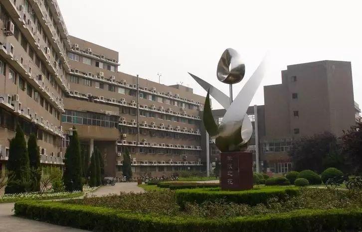 金寨路的老校区校门土黄,校园建筑土灰.咦,有一条樱花路?