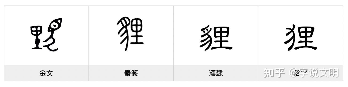 貍——每日一字·豸部字 - 知乎