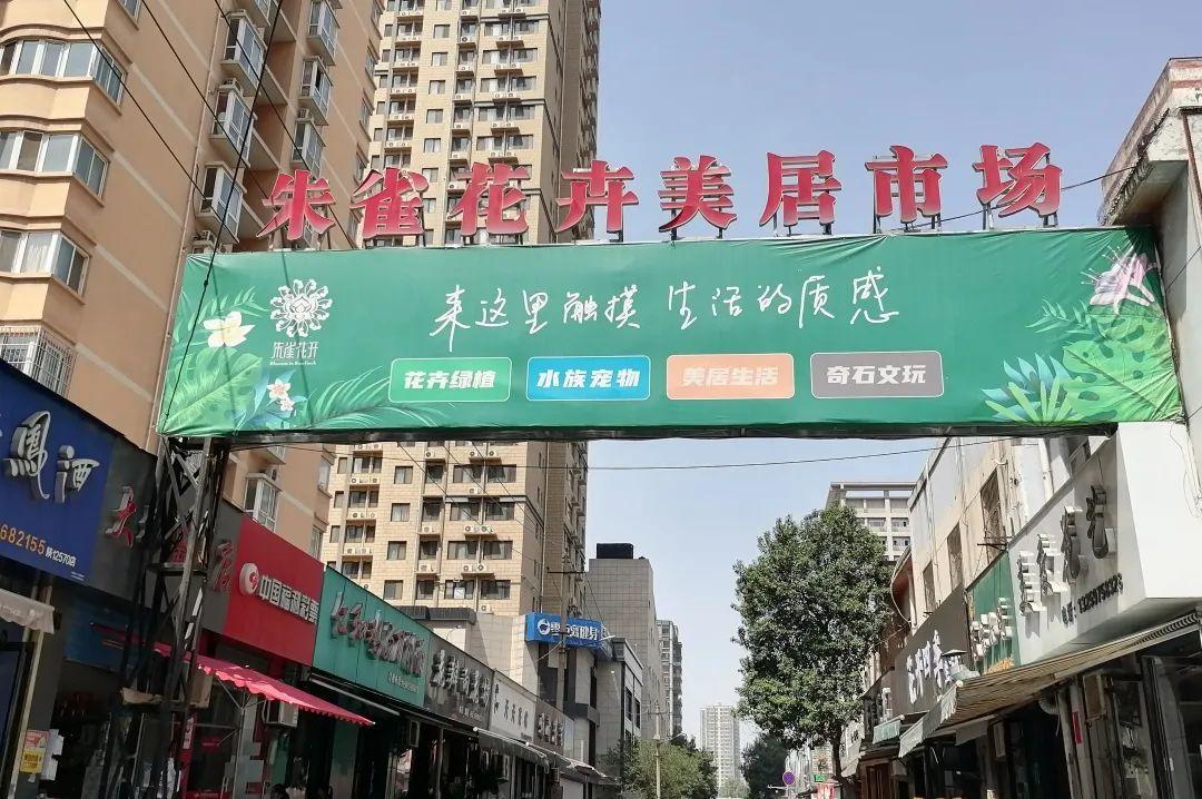 朱雀花卉美居市场