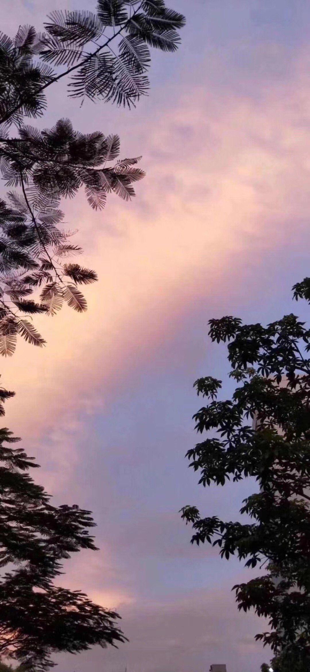 你最喜欢舍不得换的微信壁纸背景图是什么?