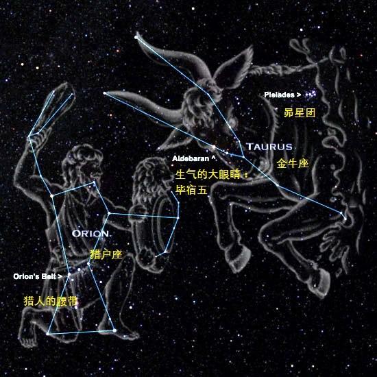 金牛座主演的冬夜星空舞台剧