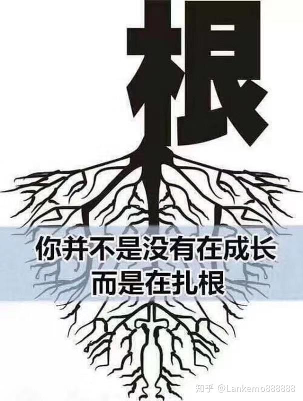 你并不是没有在成长而是在扎根