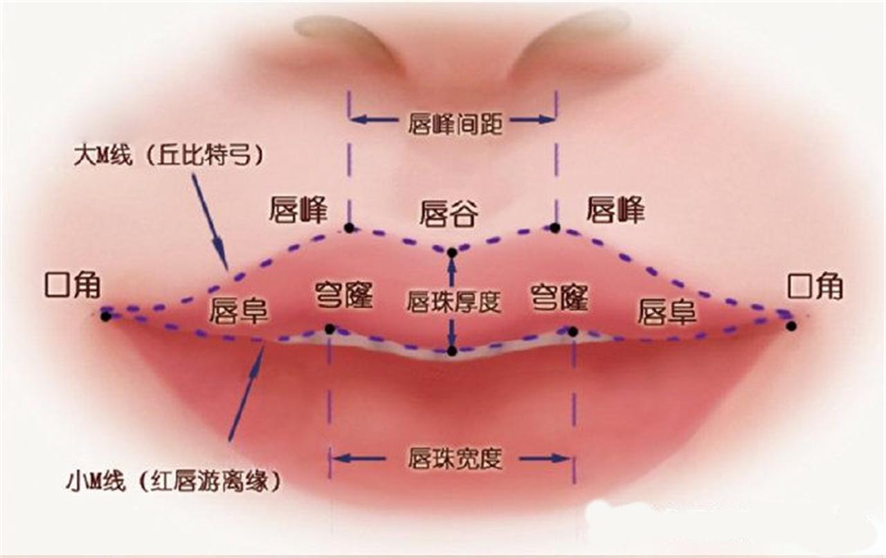 女人至美，美在表情；范芳医生谈国人常见嘴型及美学特点二 - 知乎