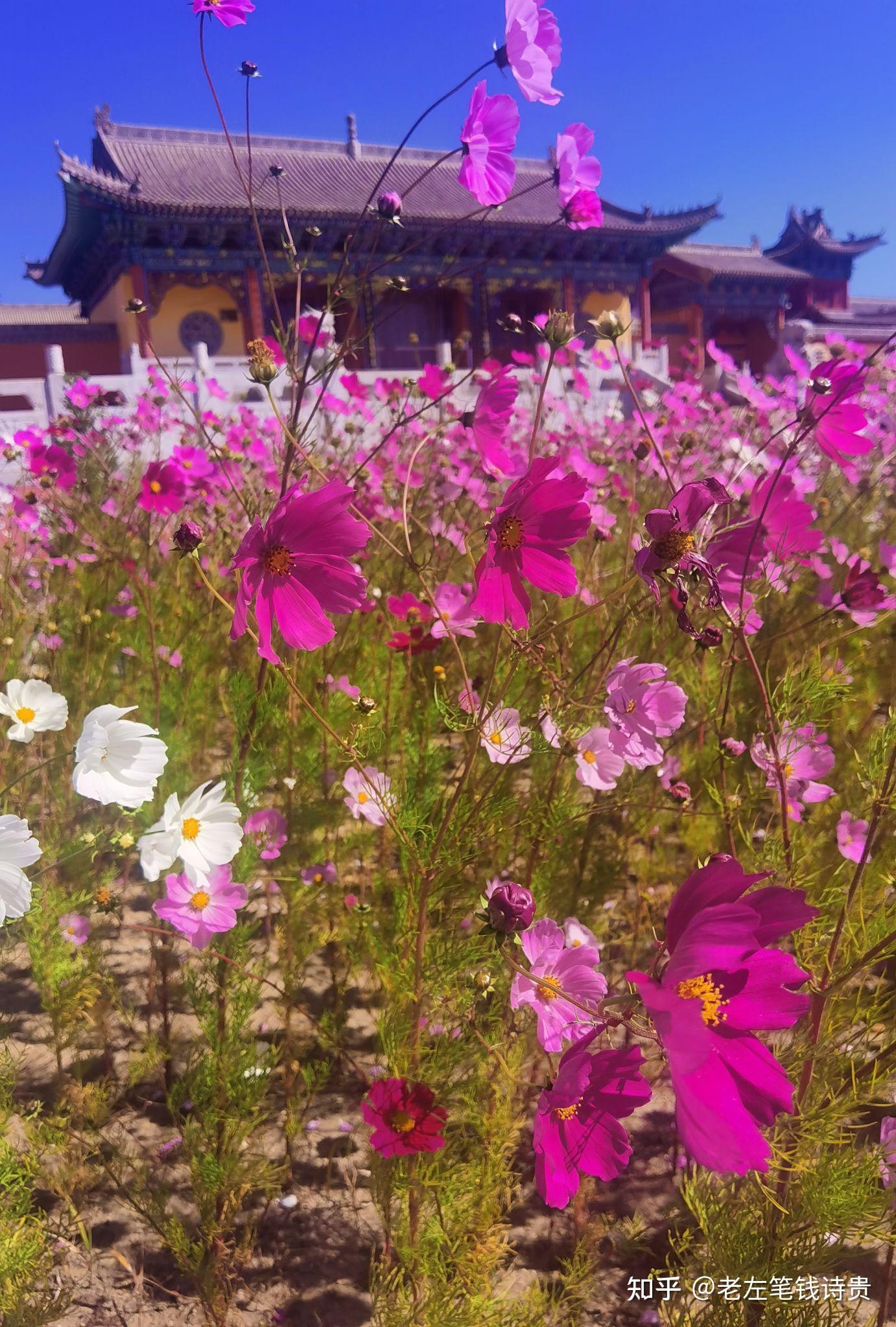 游内蒙古商都县南湖公园有感