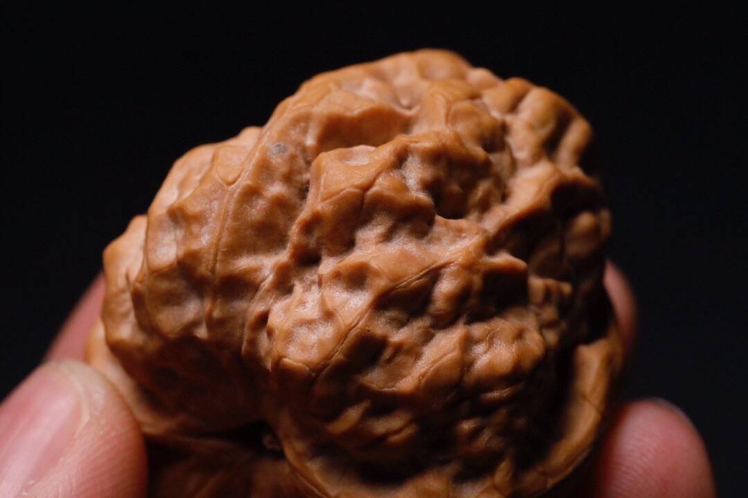 文玩核桃中常见的两种蛤蟆头了解下- 知乎