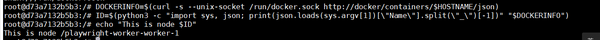 docker-container-name