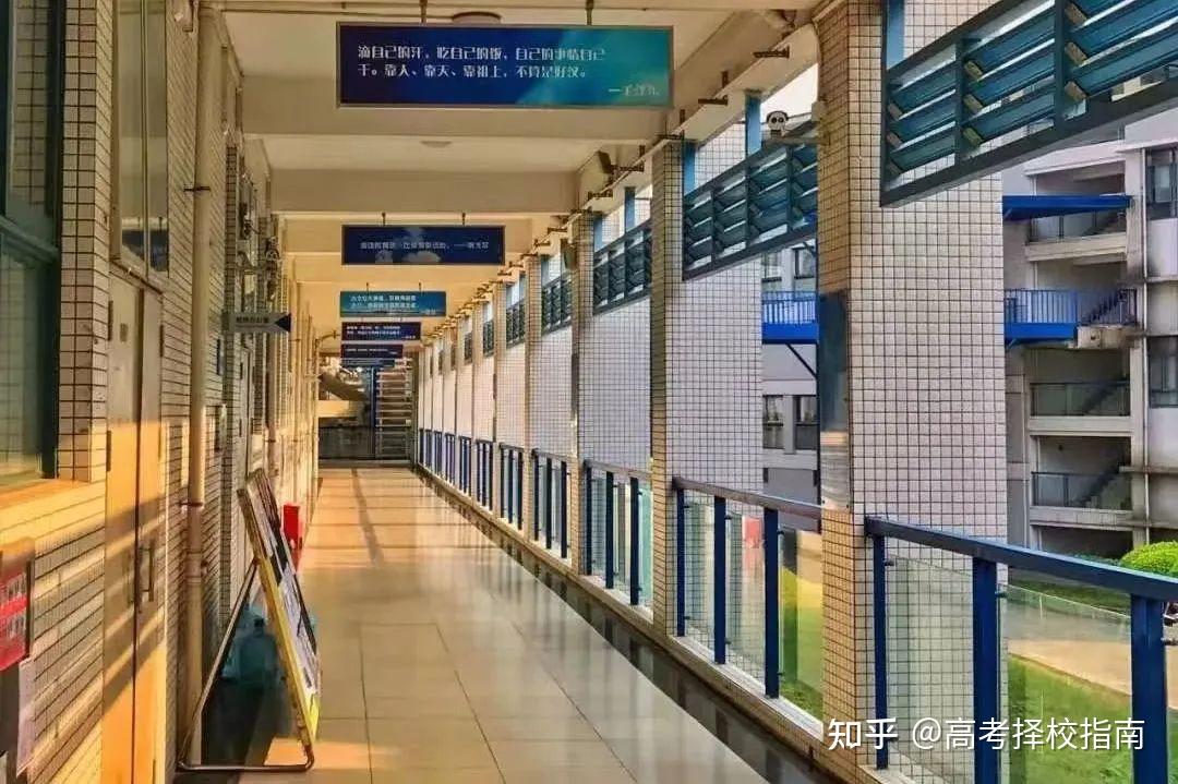 【公办】广东轻工职业技术大学 | 2024录取分/学校环境、宿舍介绍 - 知乎