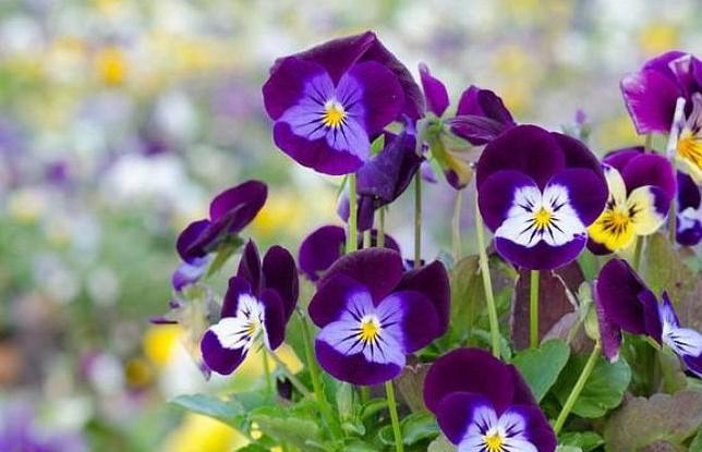 v2-a666c563cc003c81a885a7f32150f06f_1440w.jpg?source=172ae18b