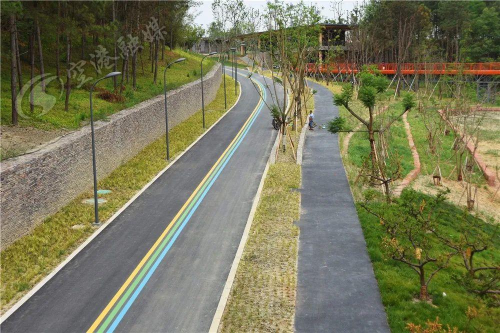 新增绿道沿着山坡四处蜿蜒一直深入到原始松林的各个角落松林中"藏着"