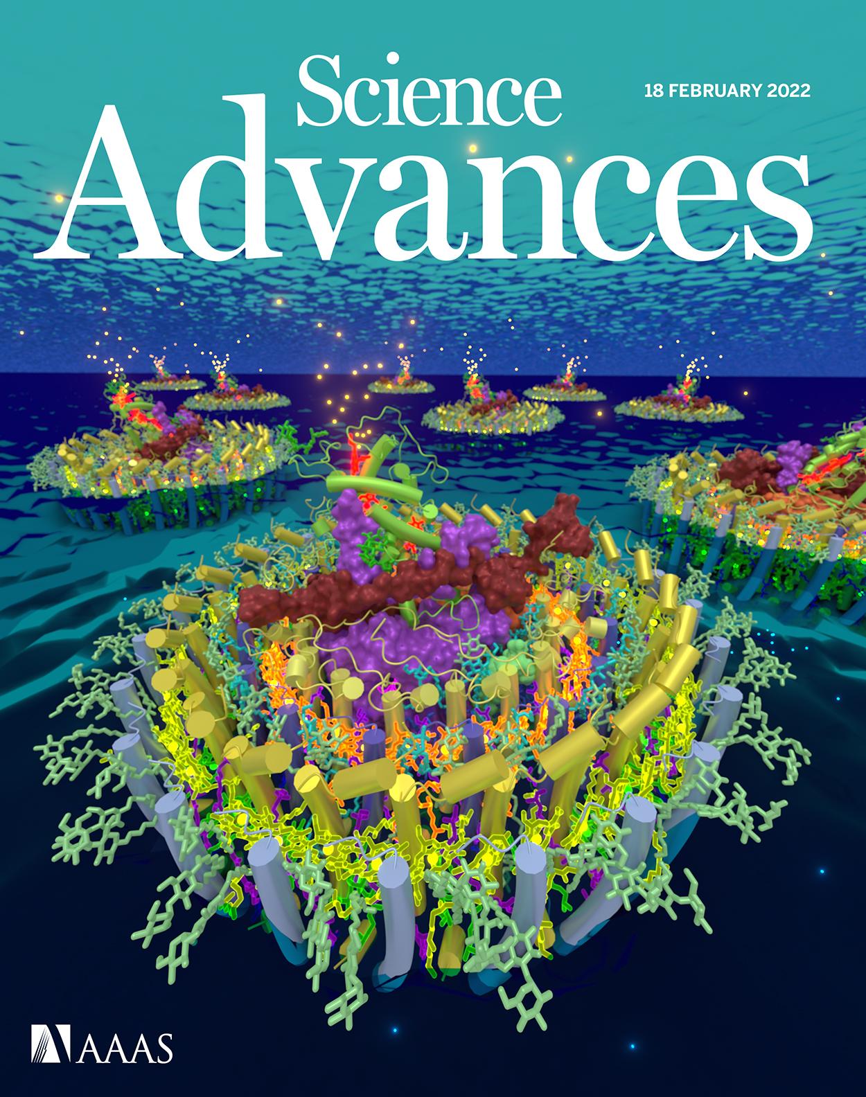 精读外刊《科学》破解科技英语论文：“利用物理信息神经网络分析材料内部结构和缺陷” 知乎
