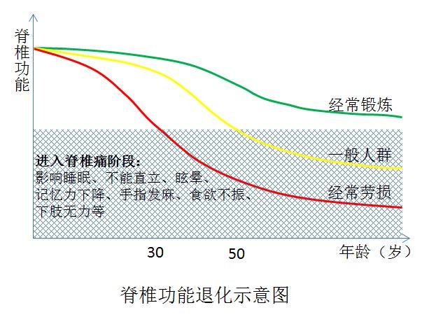 生命在于运动,脊椎作为人体的中轴线,运动机会本来就比较少,而你一天