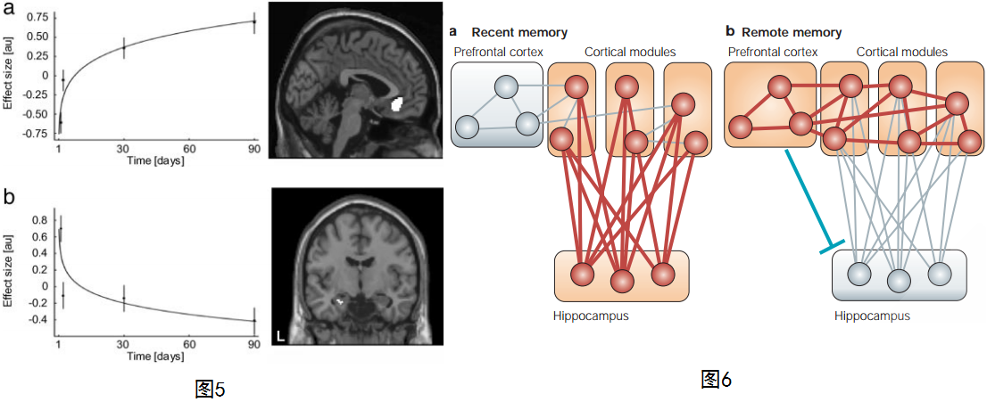 为什么睡眠能促进记忆？ 理论模型篇 - 知乎