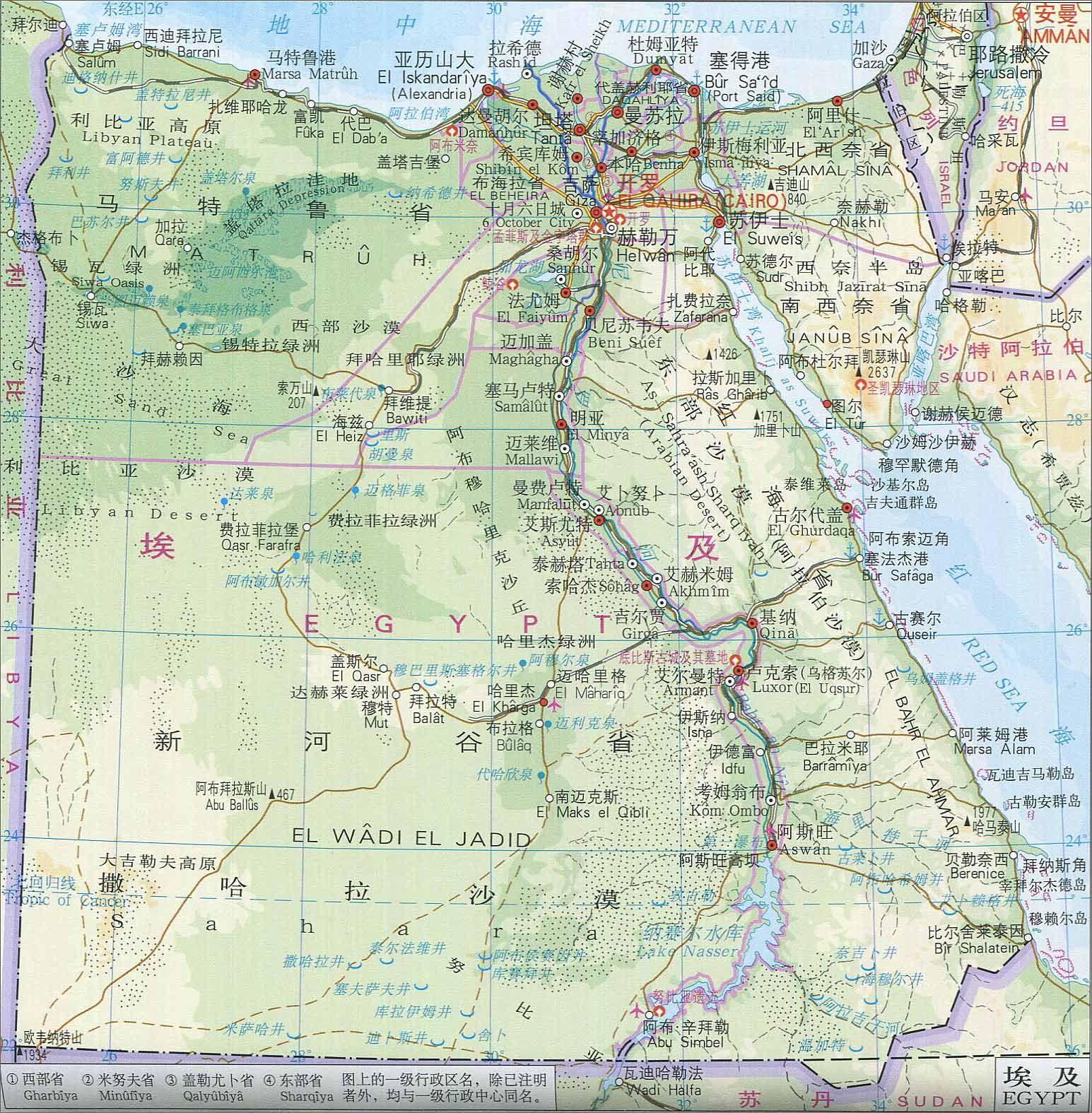 小动作大不同埃及走在去塑料化的道路上