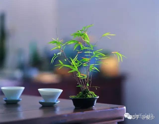 v2-a6c3d569d58c2715f452d3a74f24ca07_r.jpg