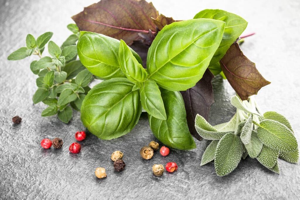 高附加值倍半萜类香料细胞工厂高效催化木质素分解仿生酶