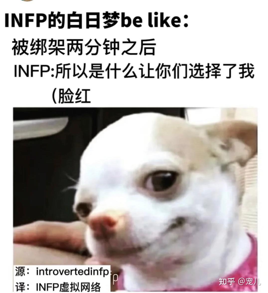 INFP梗图表情包 - 知乎