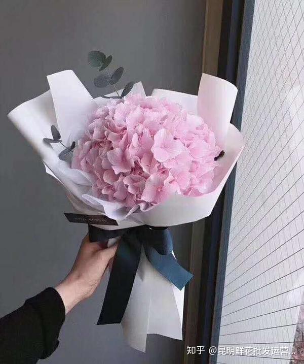 紫阳花的倾斜在线观看 紫阳花的倾斜樱花动漫 向日葵在夜里绽放manget