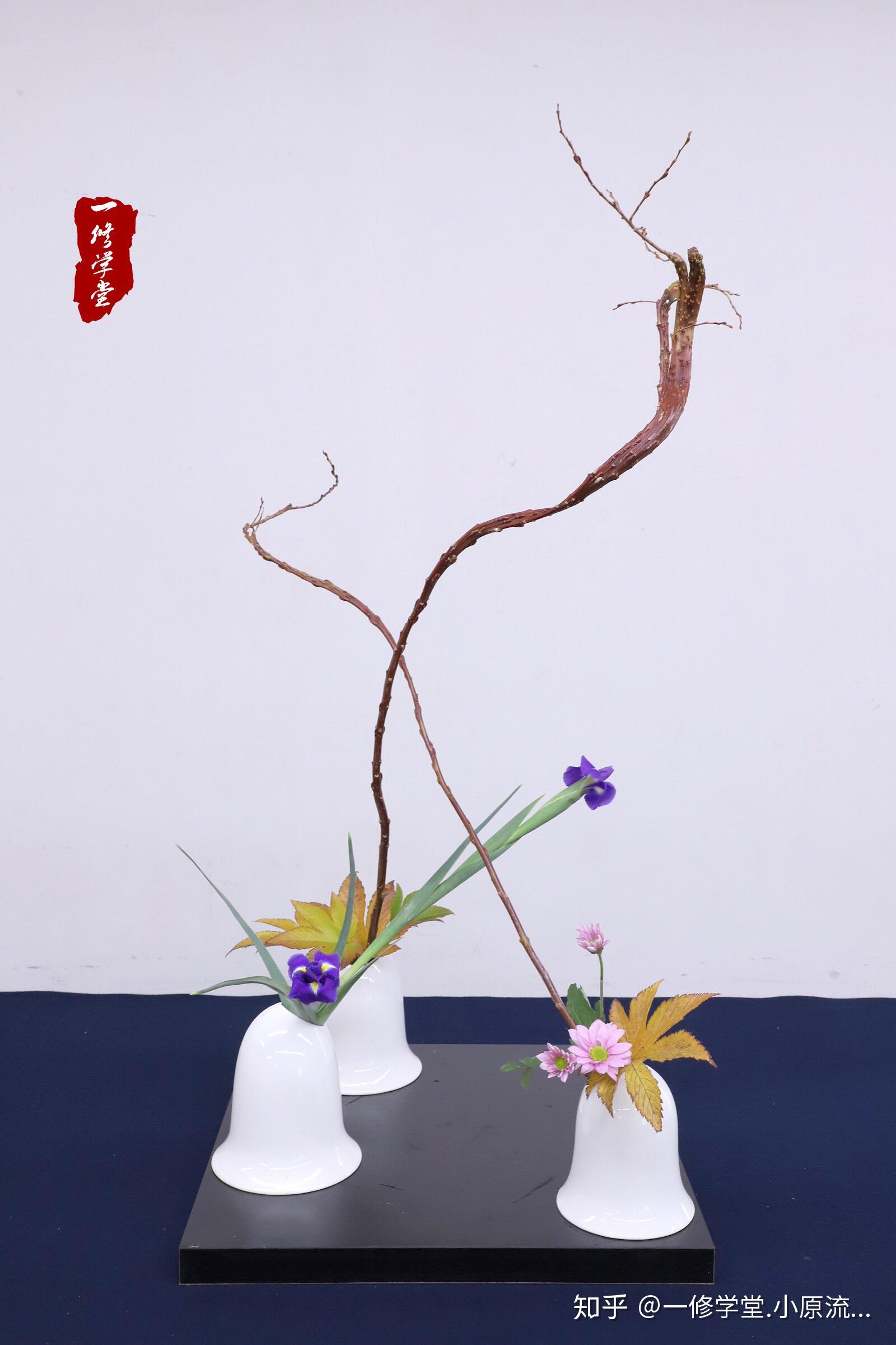 小原流插花入门课花意匠开放式花型图案例