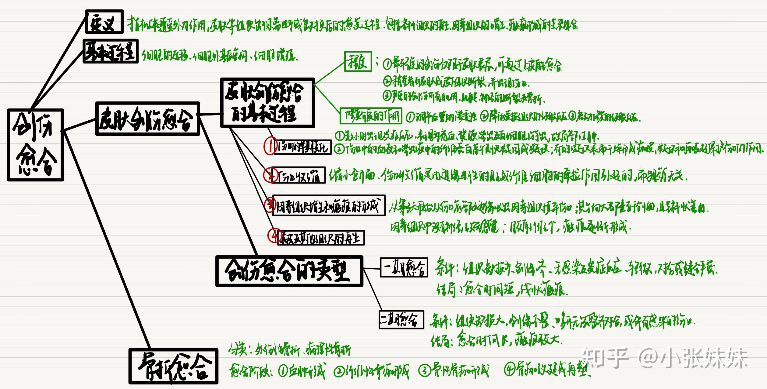 病理学思维导图 