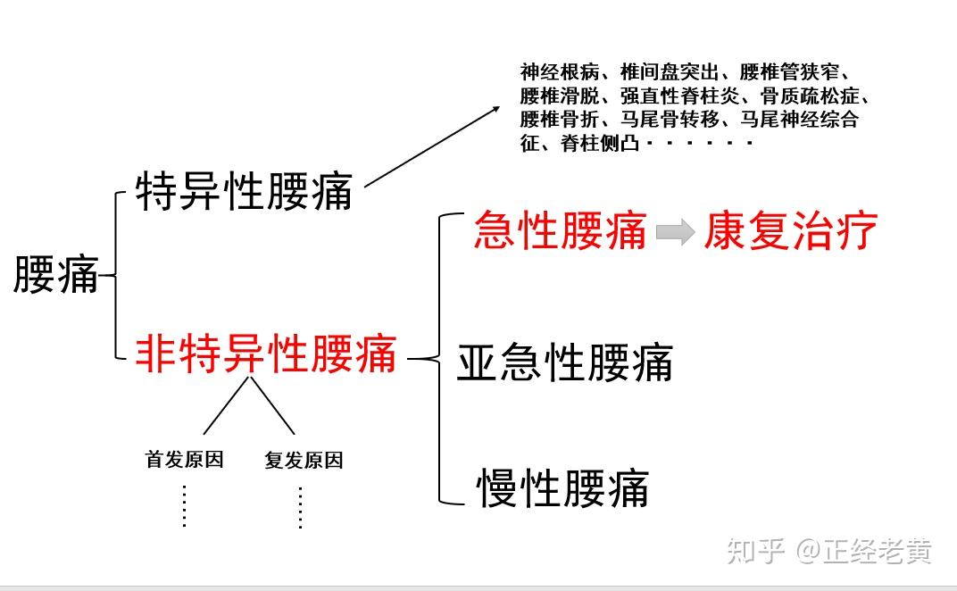 第二期急性非特异性腰痛的康复治疗名字太长看不懂