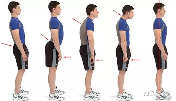 核心训练体系脊柱中立位