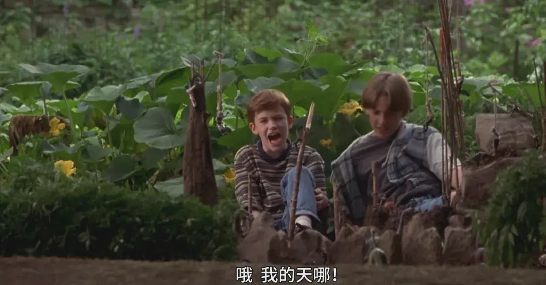 鳄鱼波鞋走天涯