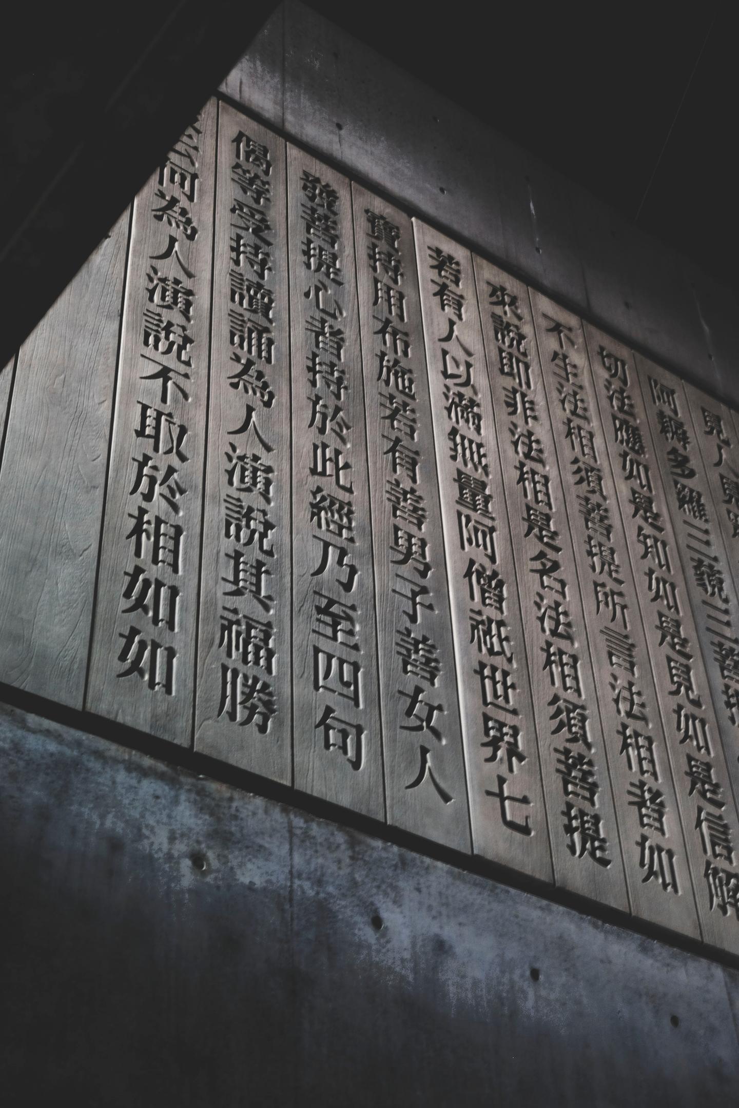 正觉法义辨正 蛇喻经 的 因内有恐怖 因外有恐怖 第二节 知乎 正觉法义辨正 蛇喻经 的 因内有恐怖 因外有恐怖 第二节 知乎
