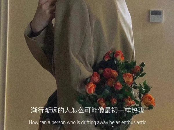 文案句子温柔干净治愈简短生活(文案|有些歌听起来就像是生活被人刨了个底儿)