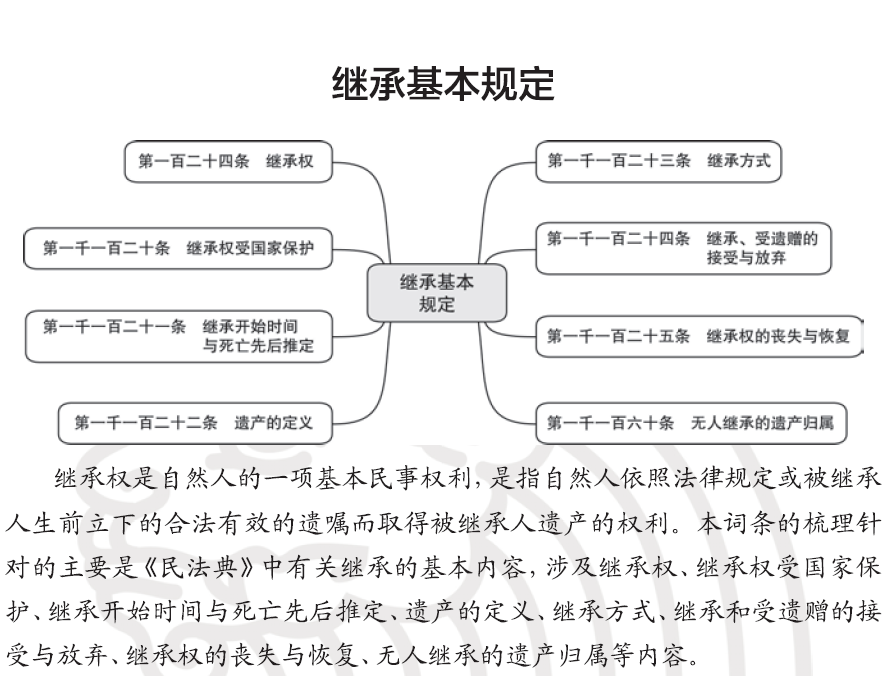 小学生民法典思维导图图片