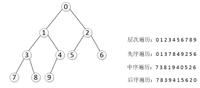 最全二叉樹完整詳解二叉樹的遍歷以及完全二叉樹等6種二叉樹