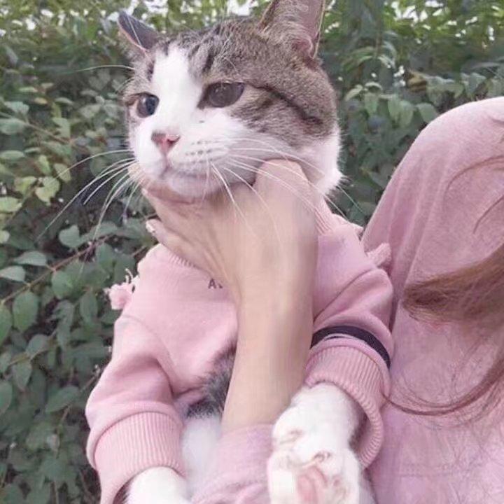 如何看待一个女生人缘不好?