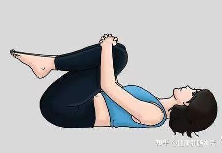 提肛运动，看完菊花一紧！ - 知乎