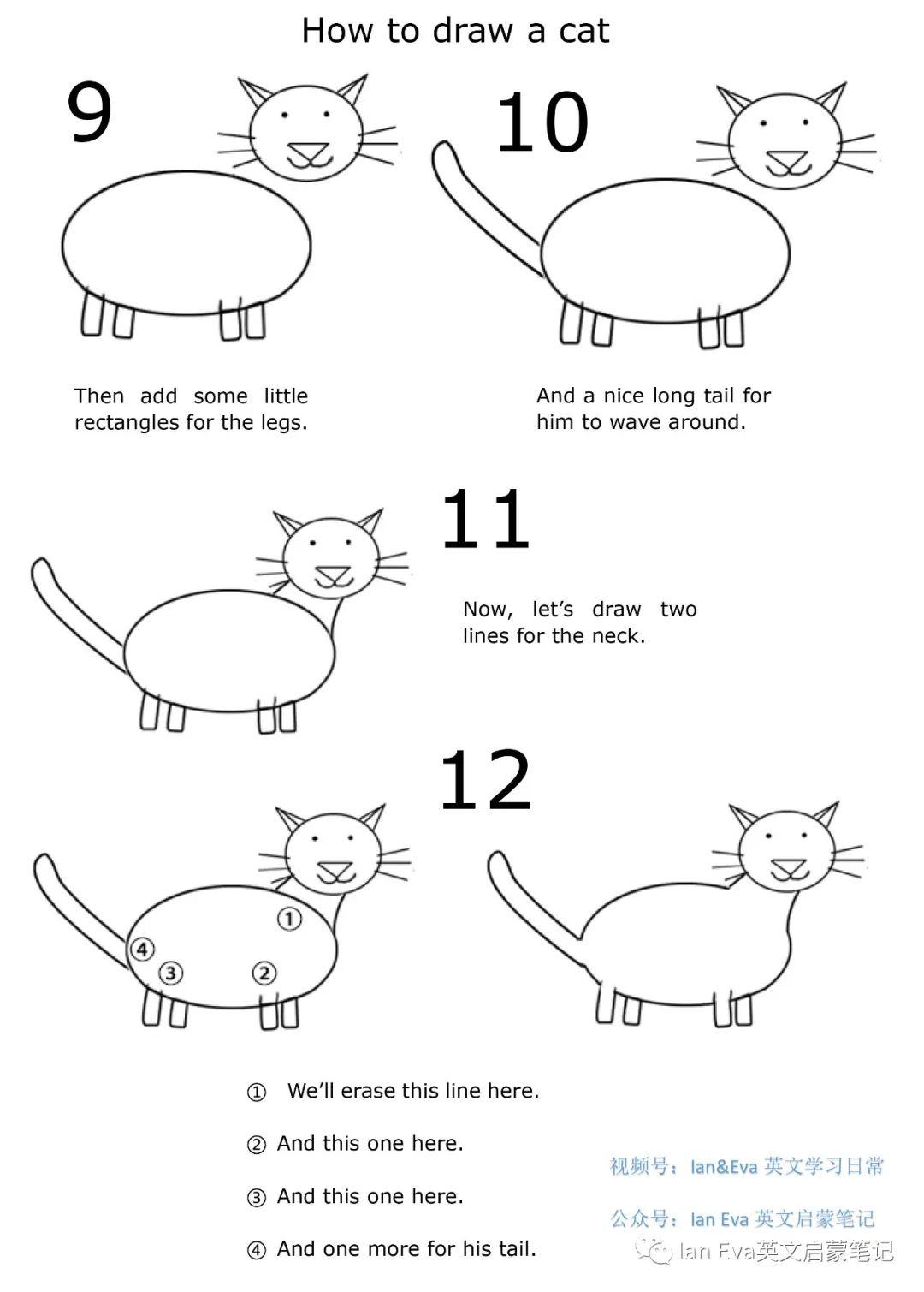 英文简笔画sssdrawhowtodrawacat