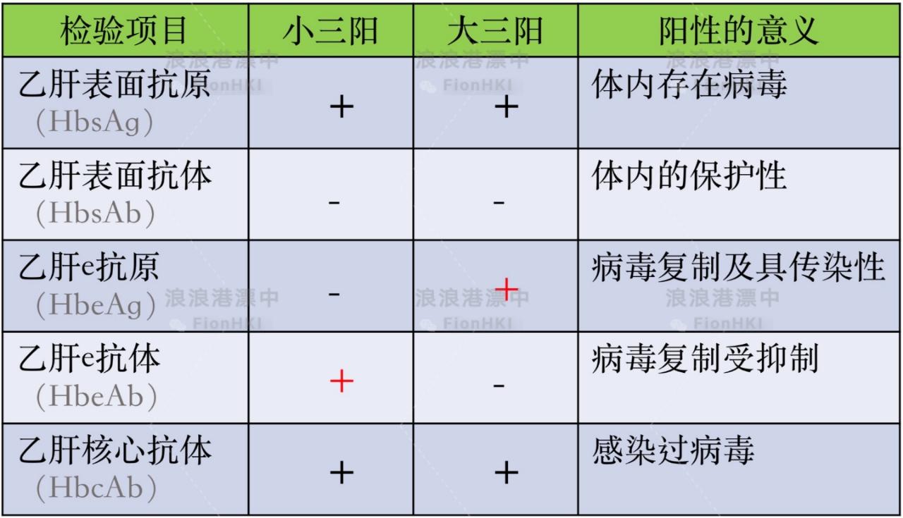 乙肝e抗原(hbeag),乙肝核心抗體(抗hbc)三項陽性