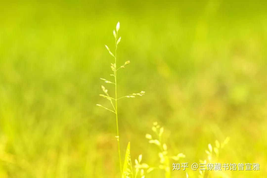 v2-a721e52128da3d95ea09f62217d4c275_r.jpg