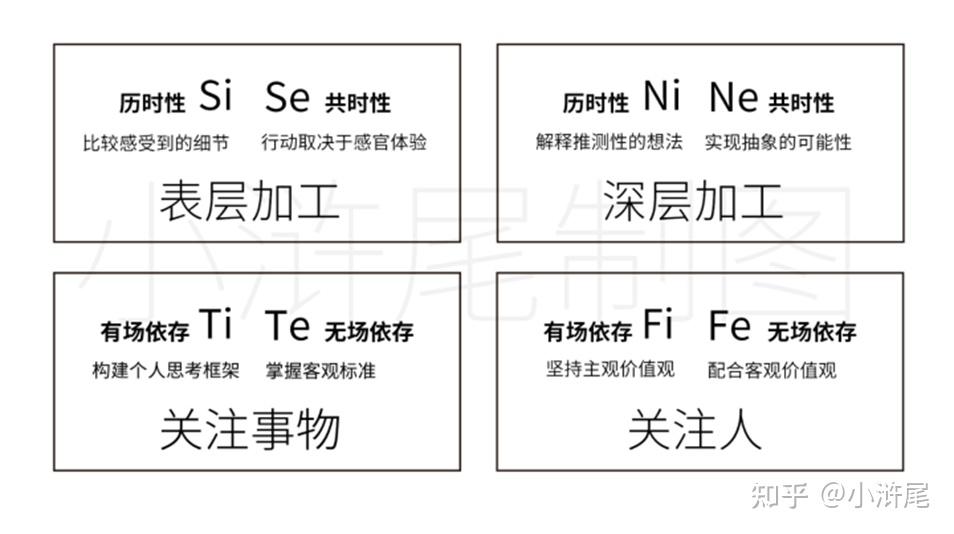 新八維體系榮格八維譜新章